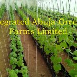 Integrated Abuja Green Farms Limited