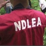 NDLEA Shortlisted Candidates 2021 NDLEA releases list of successful candidates