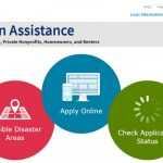 COVID-19 Economic Injury Disaster Loan Application