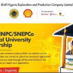 NNPC / SNEPCo National University Scholarship Programme