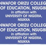 Nwafor Orizu College of Education, nsugbe