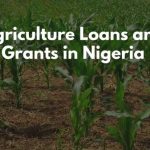 Farmers Loans
